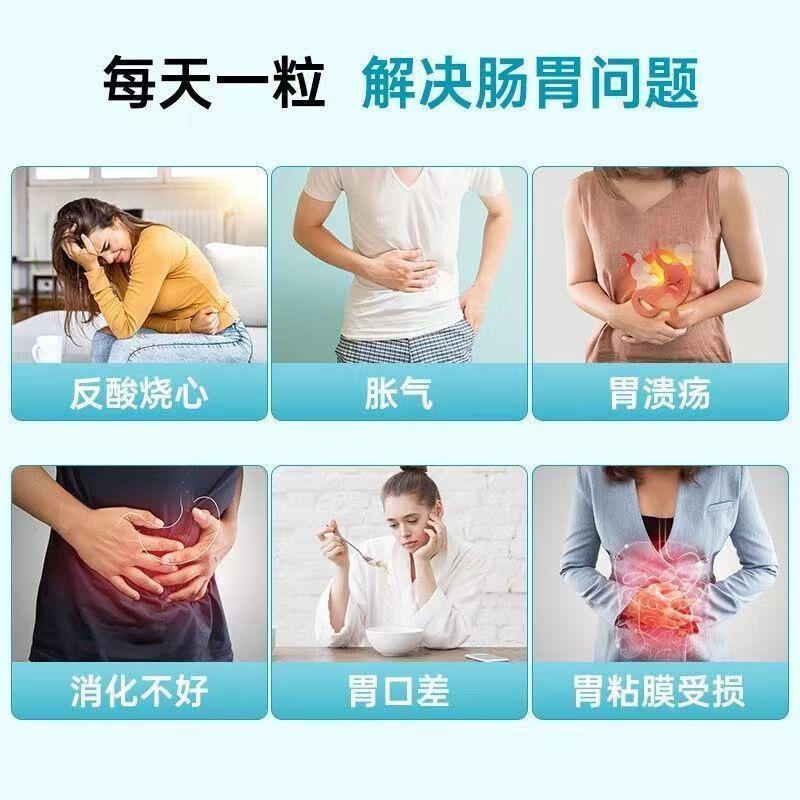 German purmeo digestive probiotic adult Lactobacillus reuteri gastrointestinal health support meal plan
